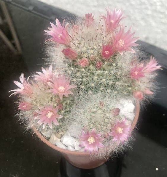 おはようございます☀