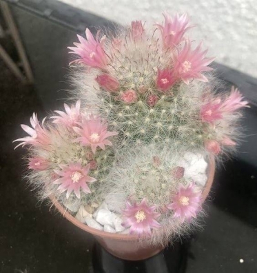 おはようございます☀
