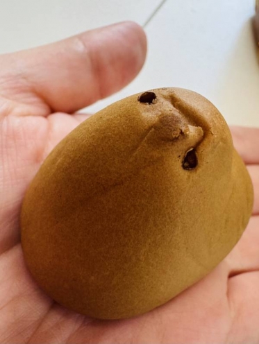お疲れさまです🐣