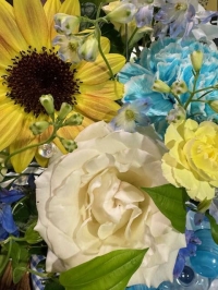 🌼今日もありがとうございます🌼