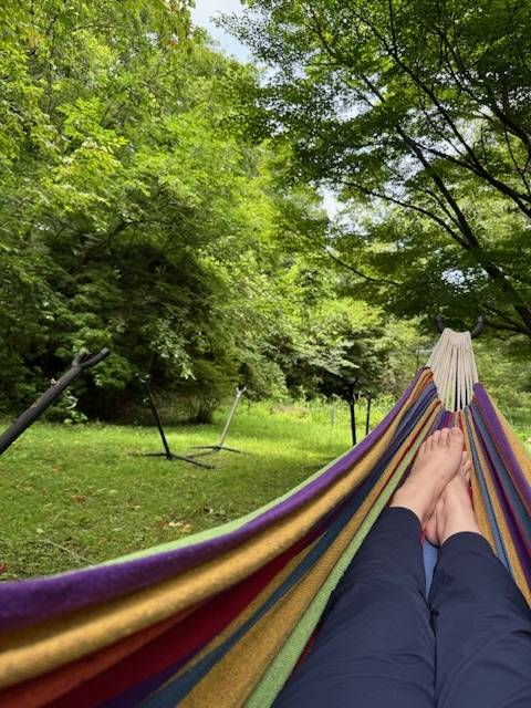 森の中でひと休み🌳