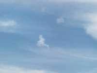 ももこ
