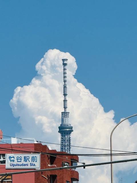 こんにちは^ - ^