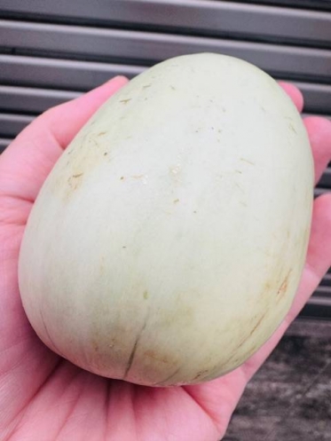 可愛い〜🍈^ - ^