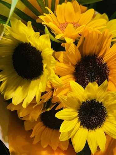 こんにちは🌻✨