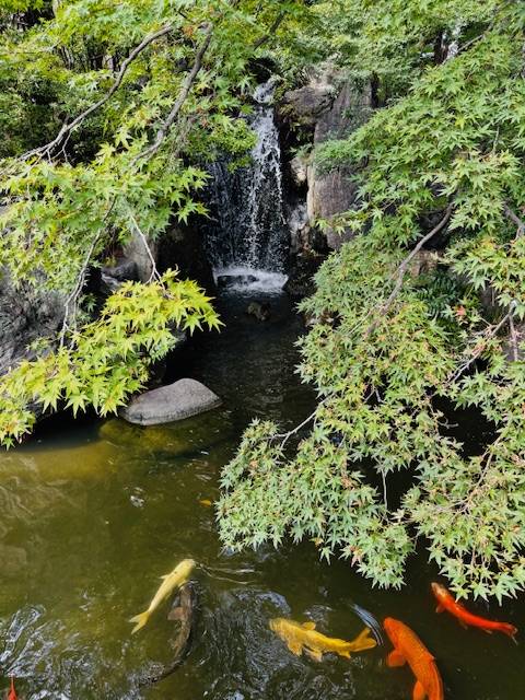 おはようございます^ - ^