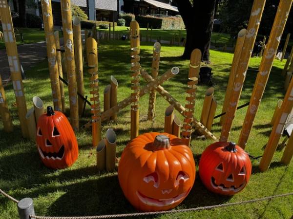 こんな時間にすみません🌟