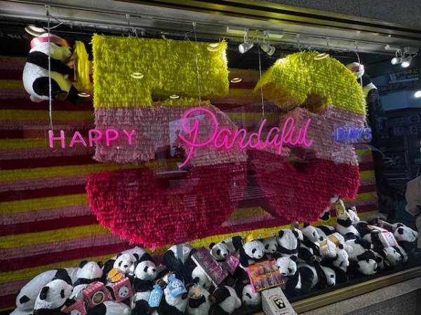 おはようございます^ - ^