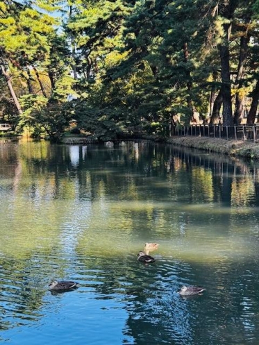 おはようございます✨