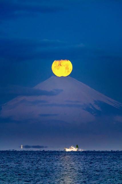 おはようございます😃