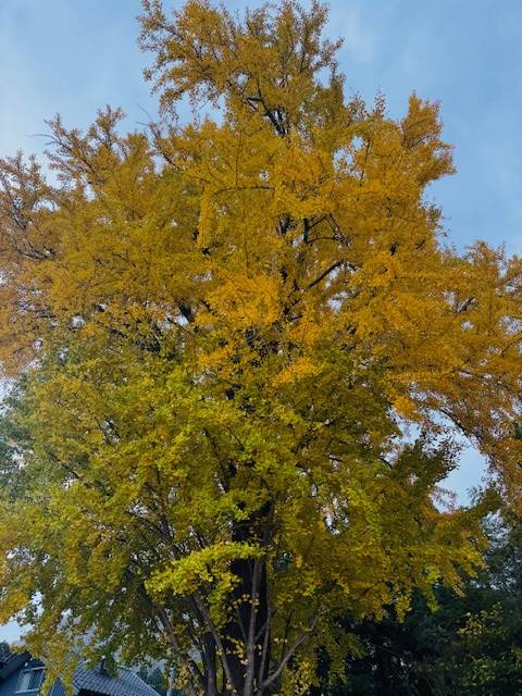 お疲れさまです^ - ^