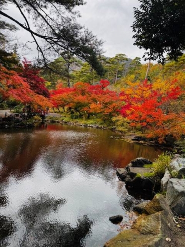 こんにちは^ - ^