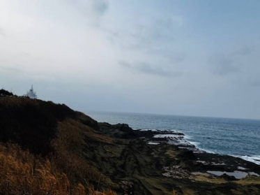 おはようございます^ - ^