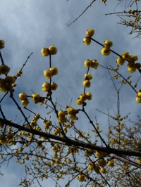 ありがとうございました☺️