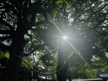 おはようございます☀